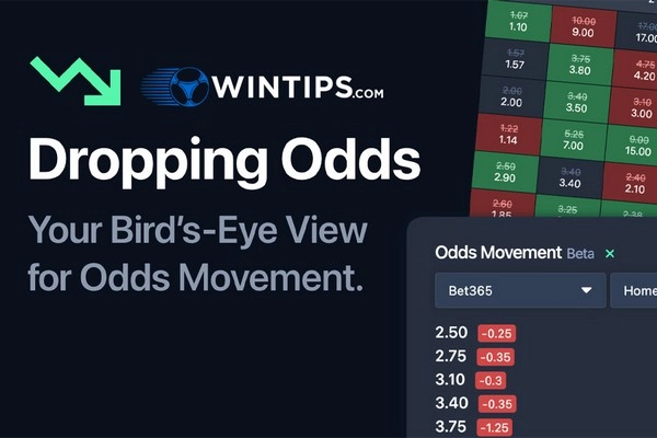 Sử dụng kỹ thuật soi odds thế nào để không bao giờ sập bẫy kèo dụ của nhà cái?